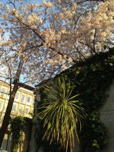 primavera en Madrid
